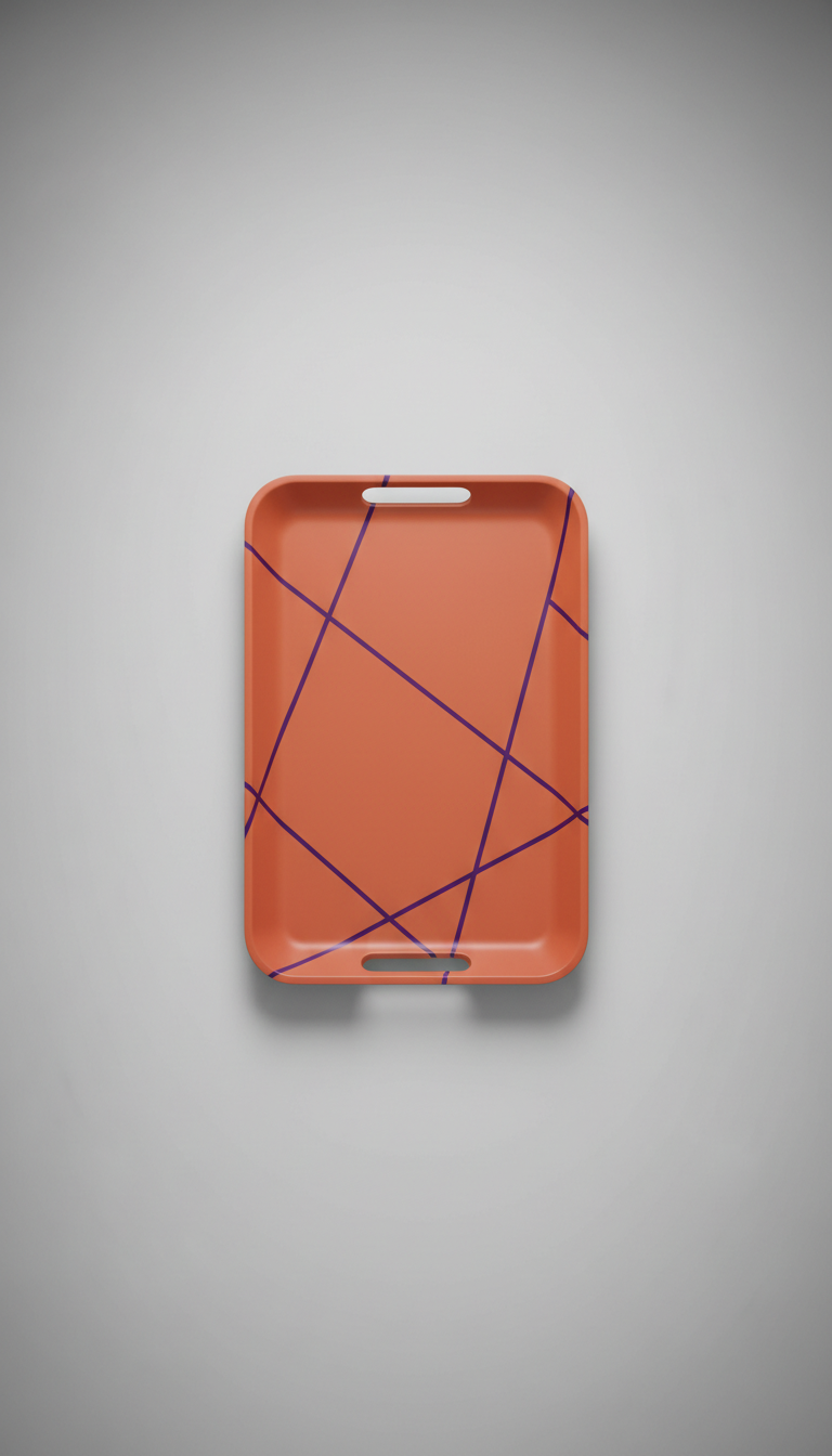 Tangerine Zest modern accent tray